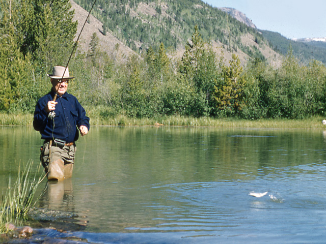 Martin Fishing